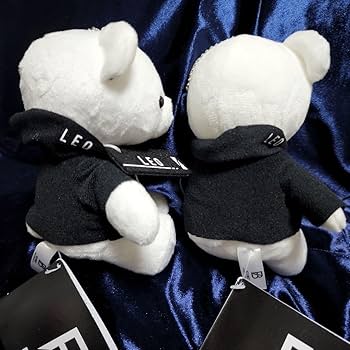 【2点セット】BE:FIRST ANIMAL モアプラス ぬいぐるみLEO★ Amazon.co.jp: BE:FIRST LEO ぬいぐるみ モアプラス 2点セット